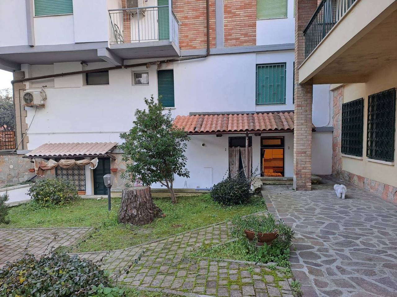 immagine annuncio 2 di 15