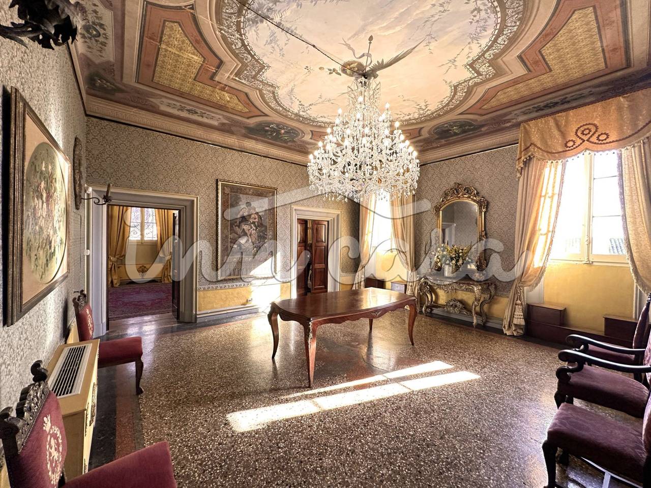 immagine annuncio 12 di 15