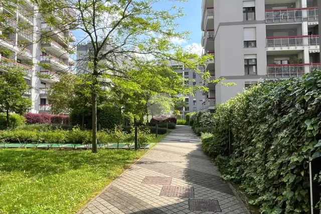 insertion image