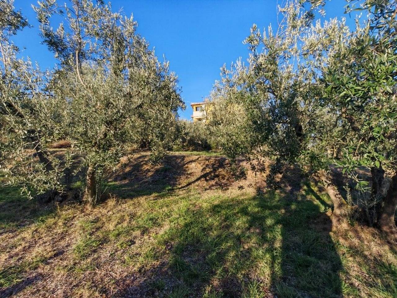 immagine annuncio 2 di 12