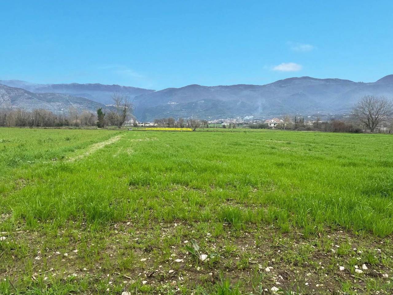 immagine annuncio 2 di 6