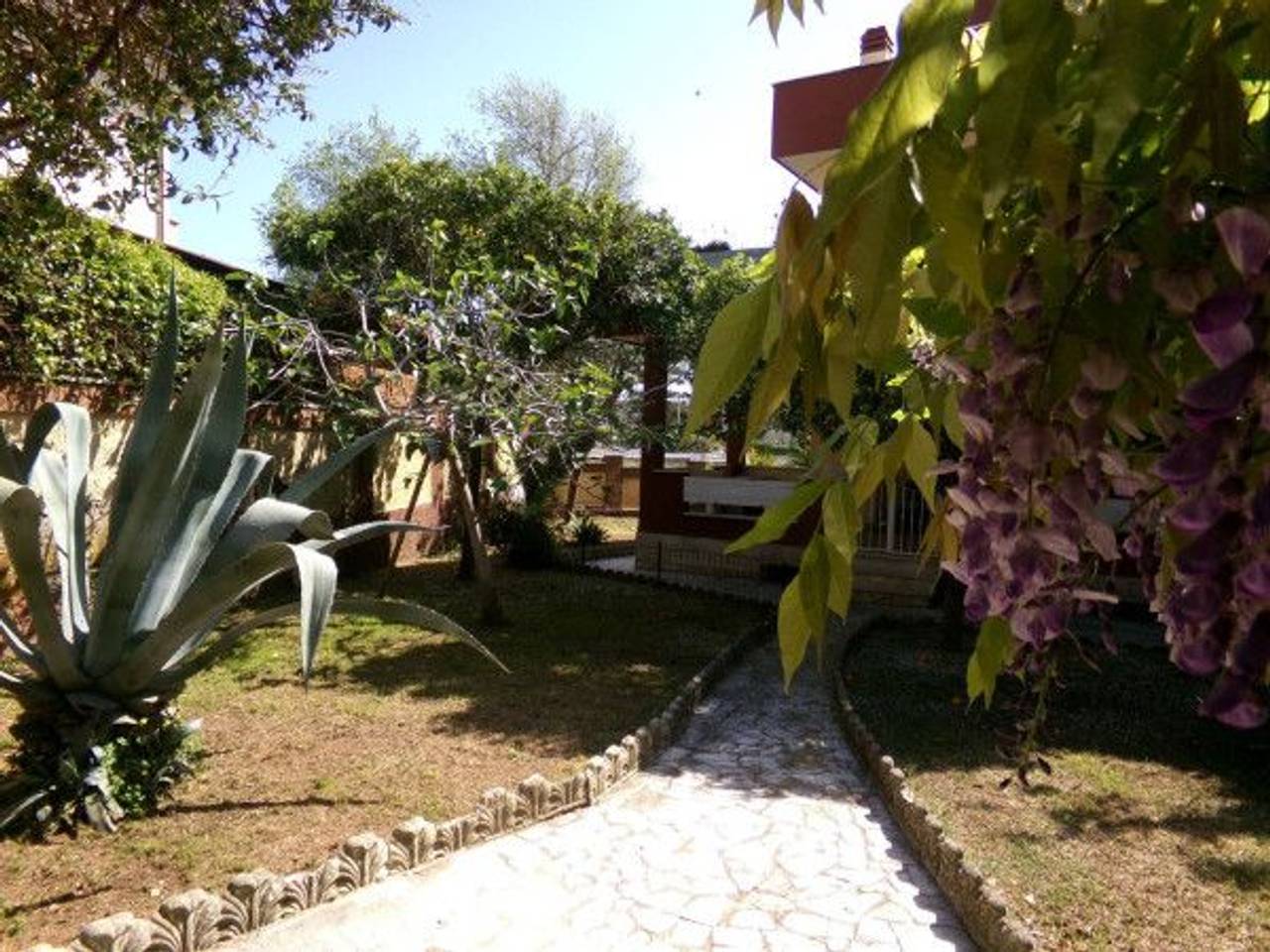 immagine annuncio 12 di 15