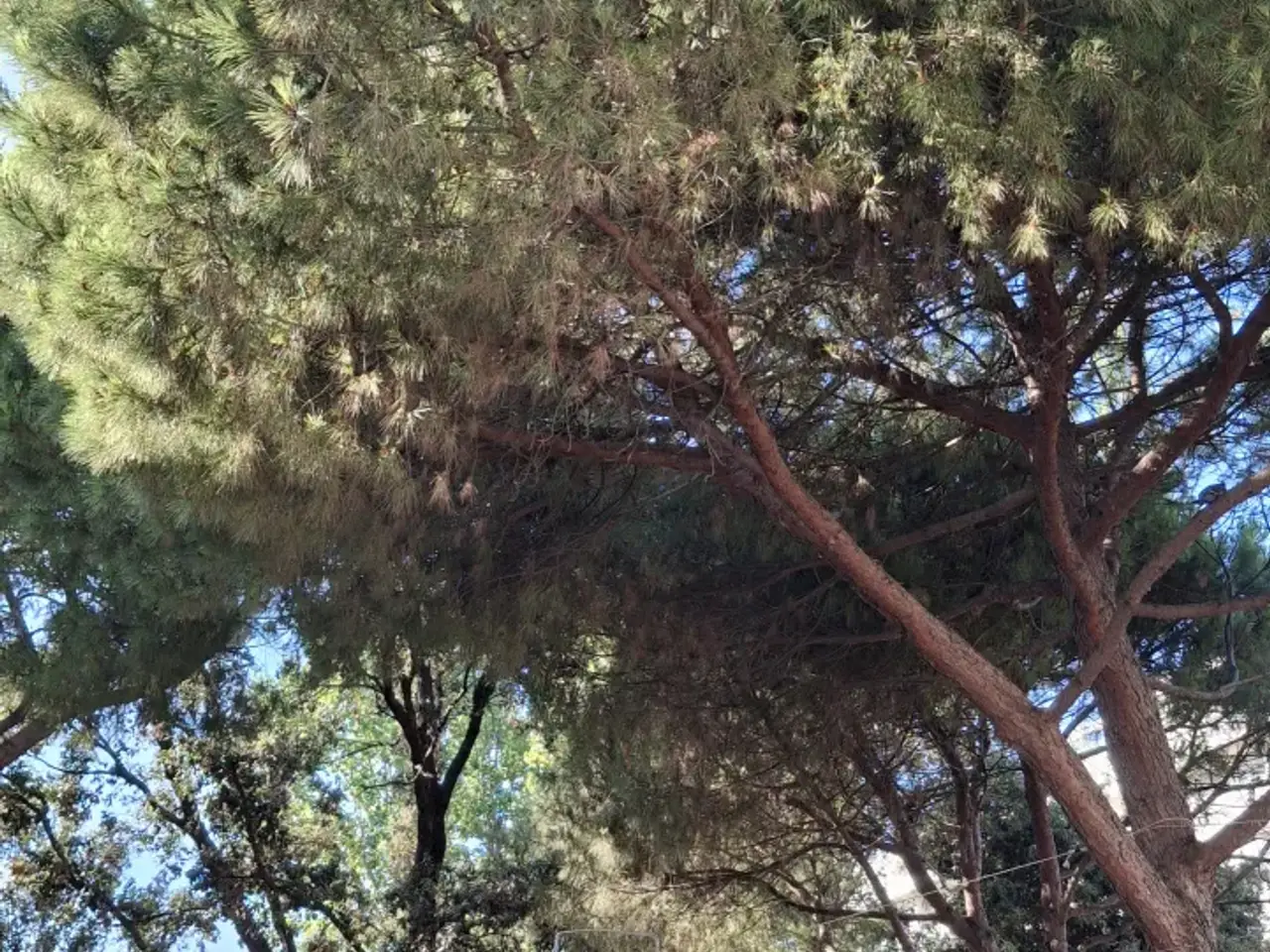Negozio in Viale Rapallo, Rimini, {3} - Foto 2