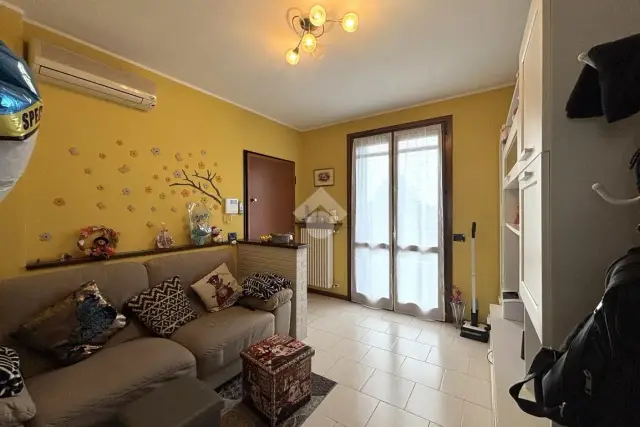 insertion image