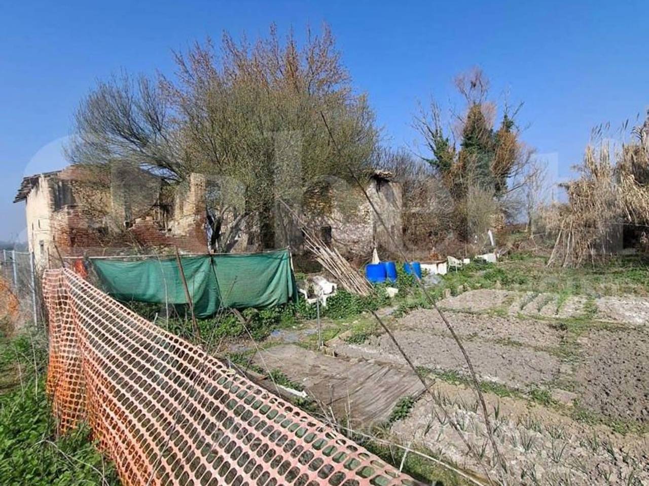 immagine annuncio 6 di 10