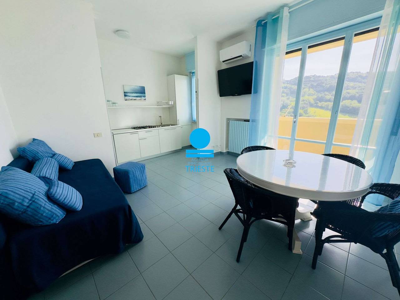 immagine annuncio 11 di 14