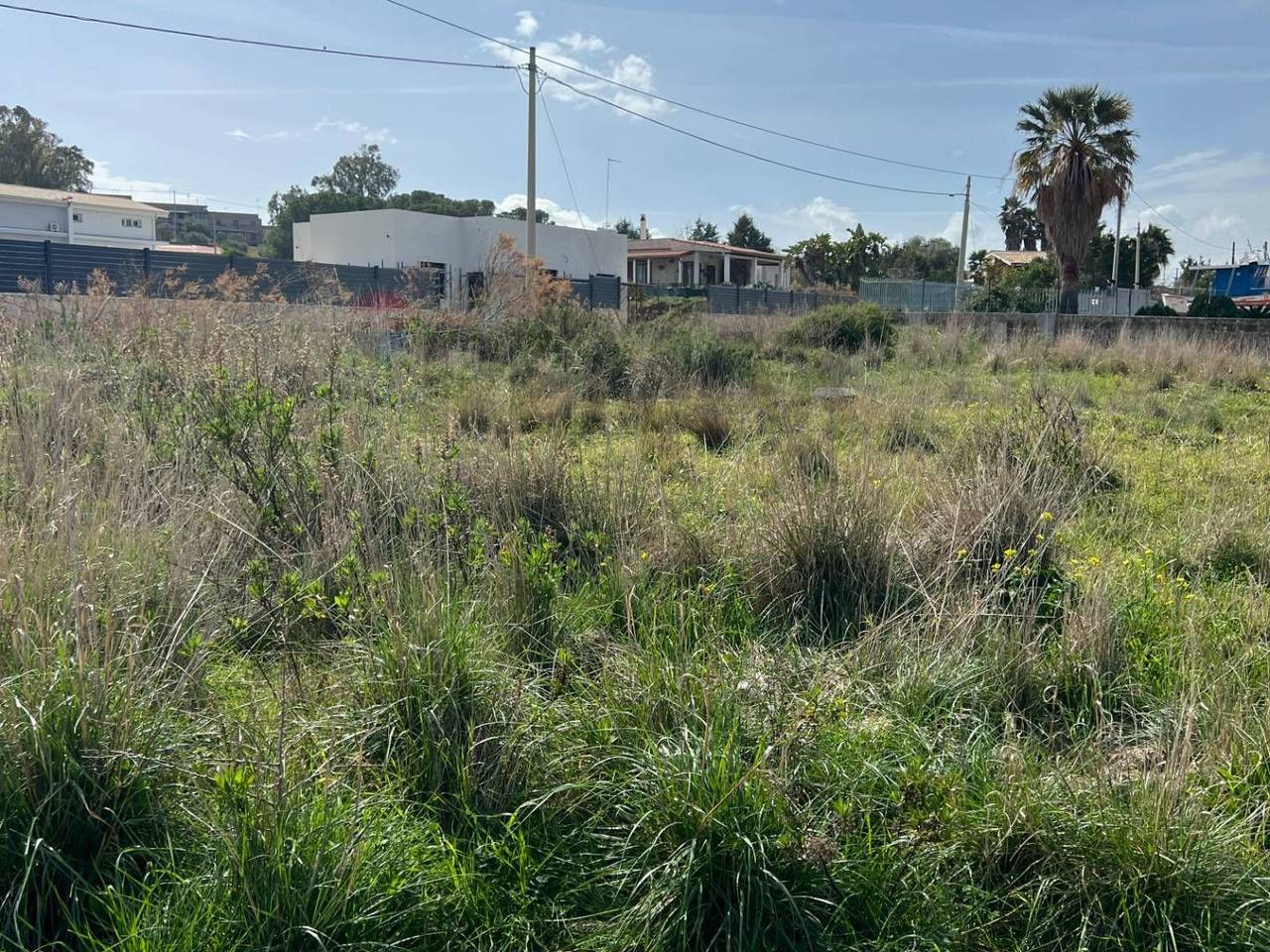 immagine annuncio 5 di 7