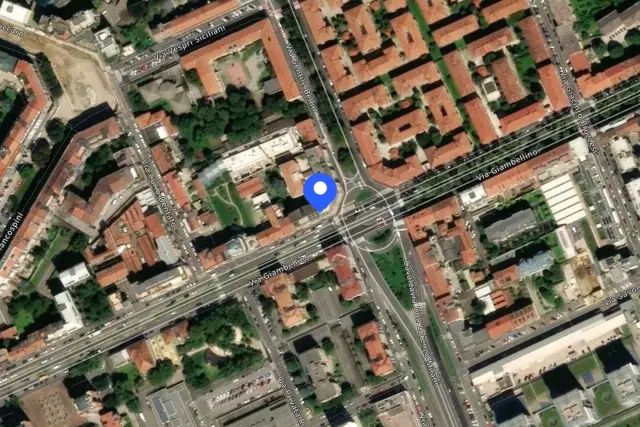 insertion image