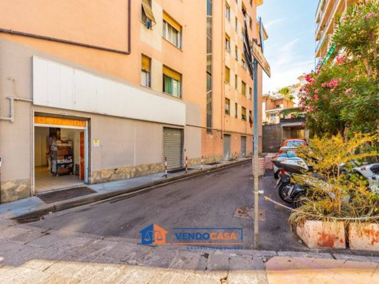 immagine annuncio 2 di 4