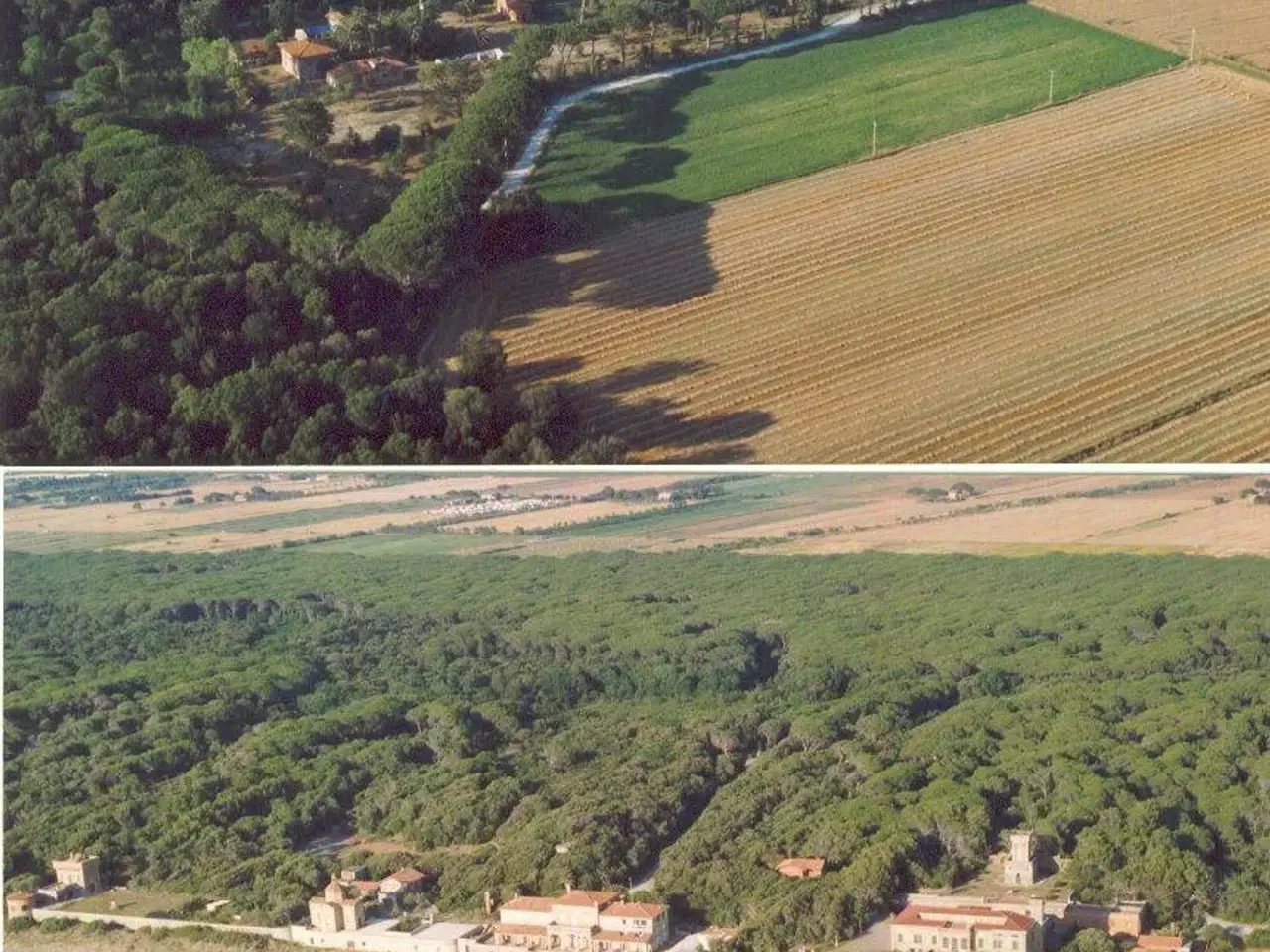 Agriturismo in Via Località Sant'Uberto Bolgheri, Castagneto Carducci, {3} - Foto 2