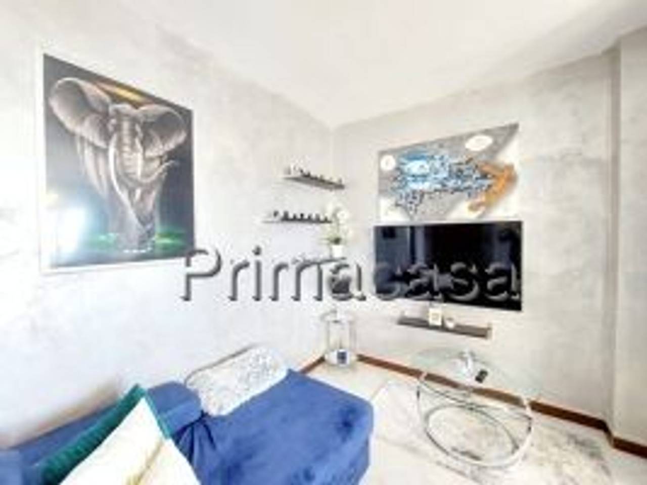 immagine annuncio 6 di 11