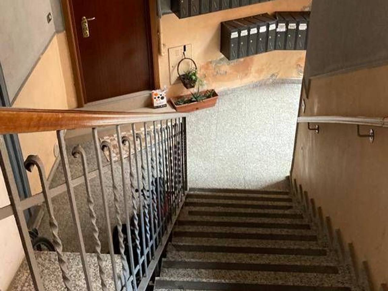 immagine annuncio 11 di 14