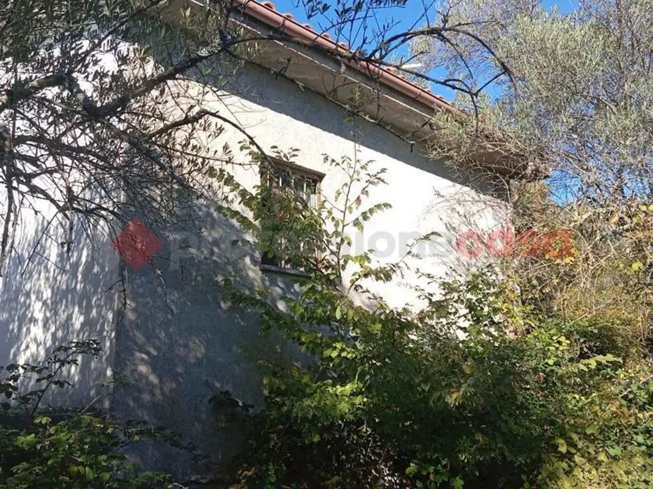 Magazzino in Località Valle Cupa Snc, Cineto Romano, {3} - Foto 1
