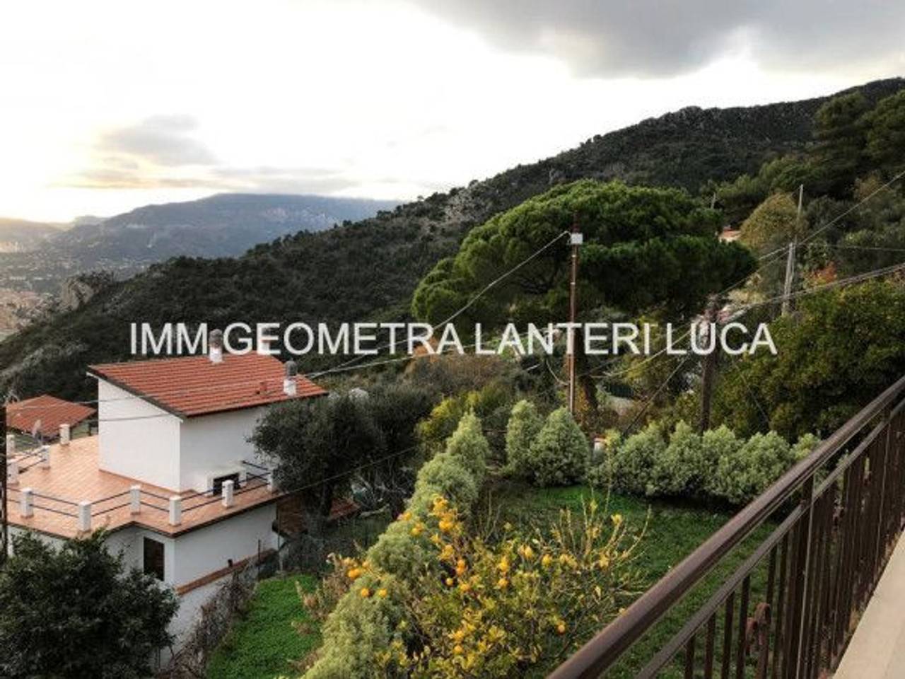 immagine annuncio 2 di 14