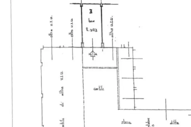 insertion image
