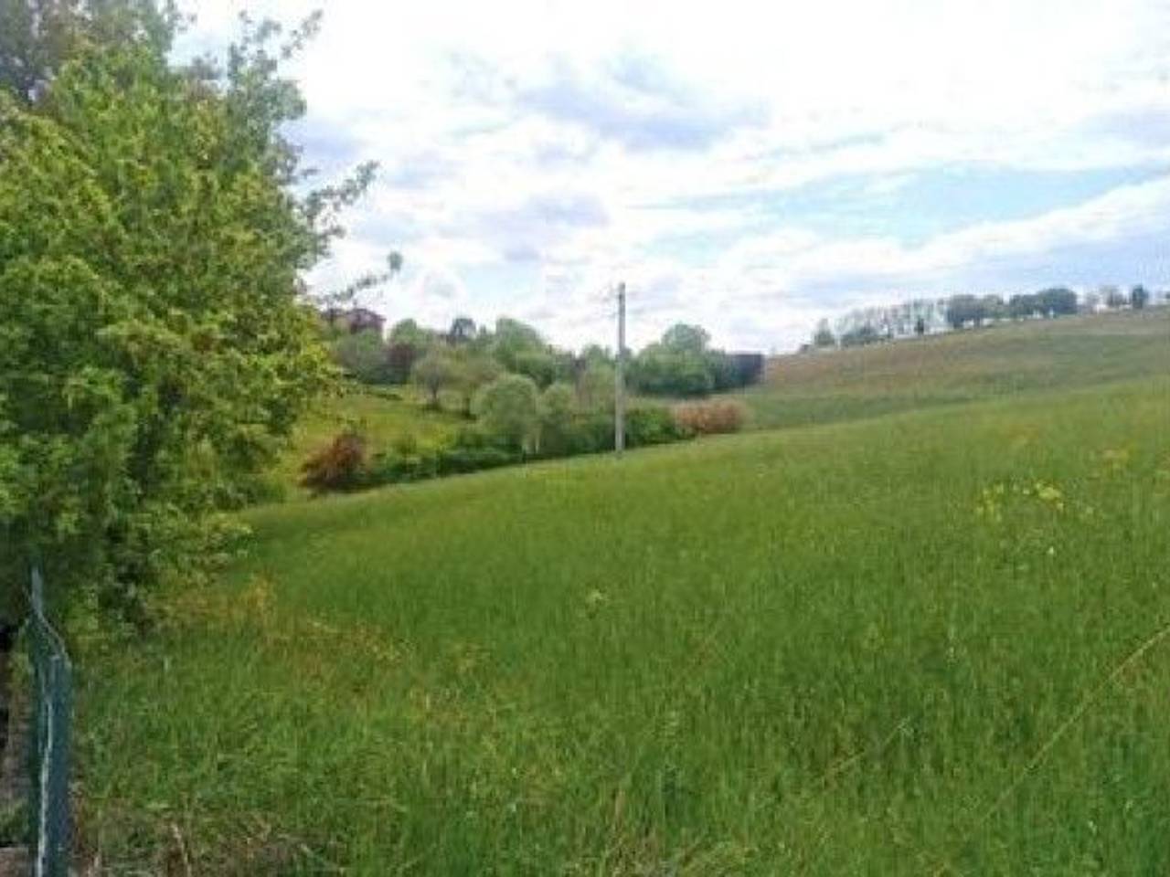 immagine annuncio 2 di 11