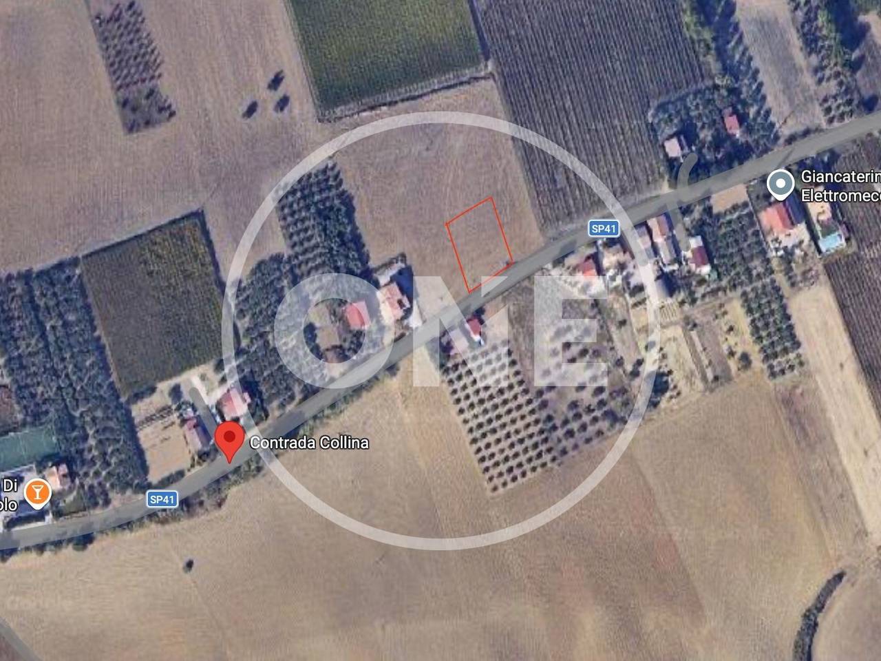 immagine annuncio 3 di 6