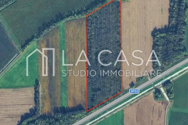 insertion image