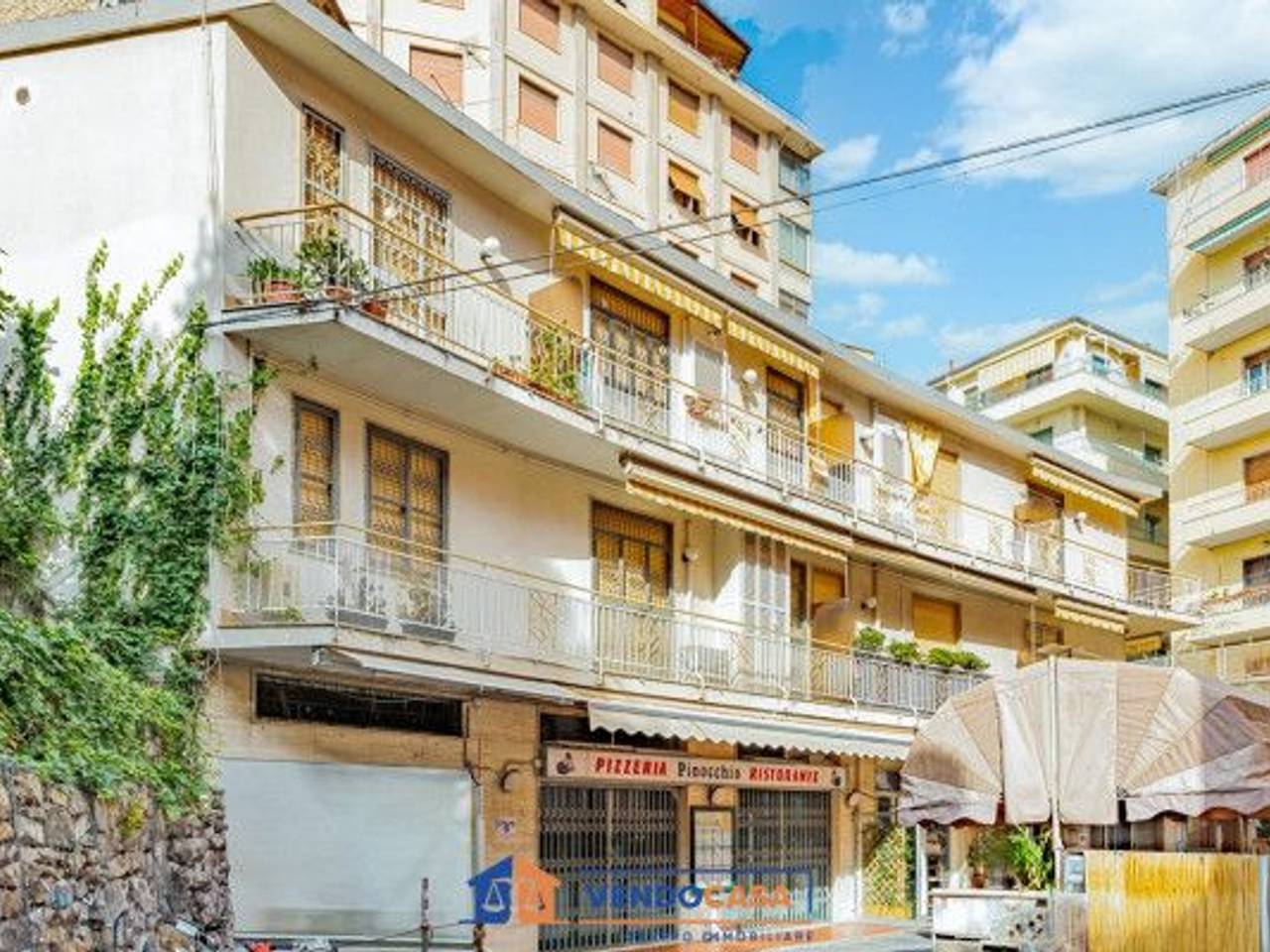 immagine annuncio 3 di 14