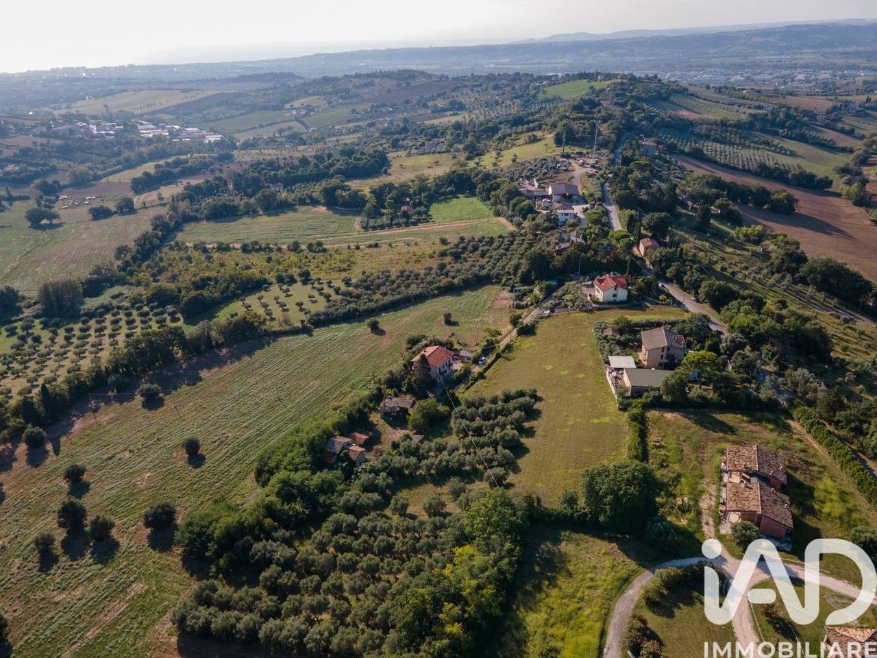 immagine annuncio 3 di 14