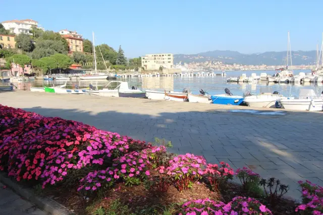 Quadrilocale, Portovenere - Foto 1