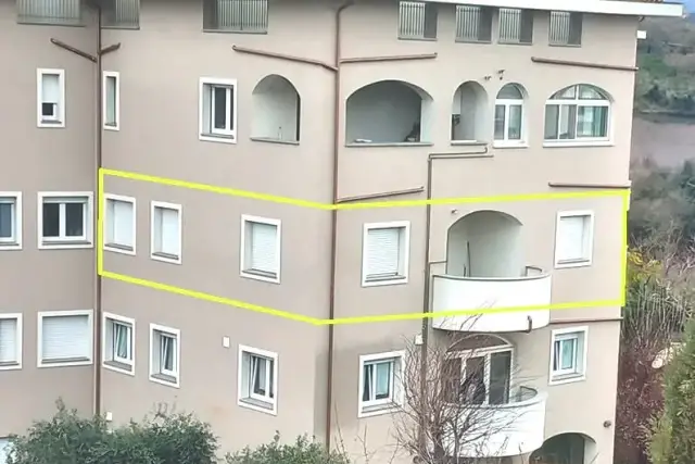 insertion image