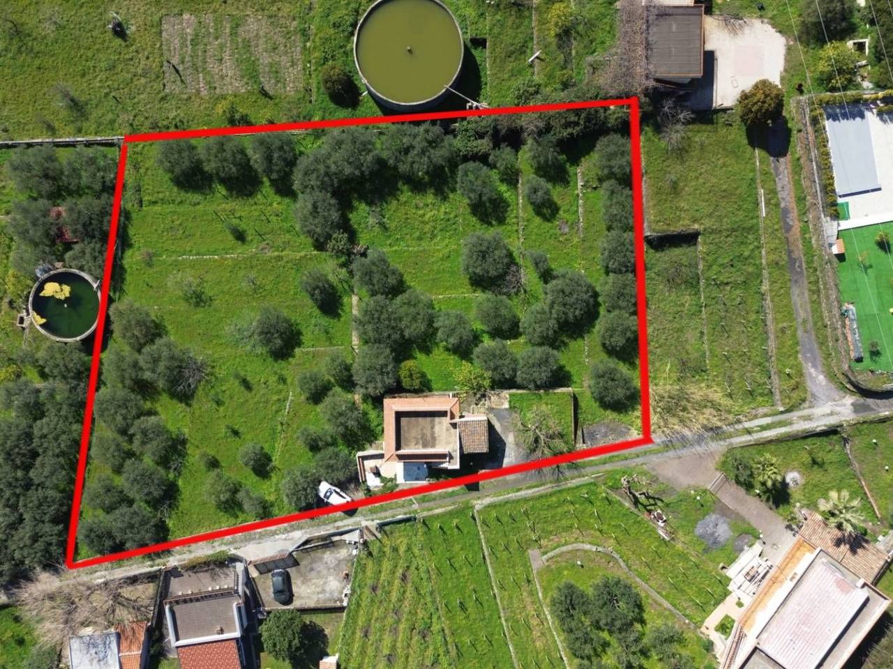 immagine annuncio 2 di 15