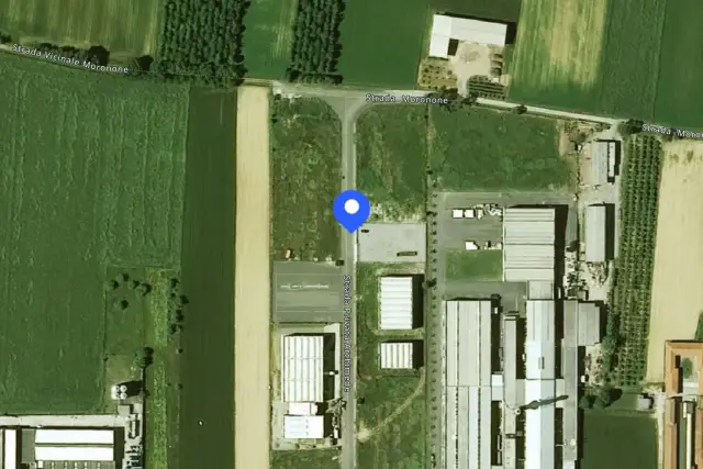 insertion image