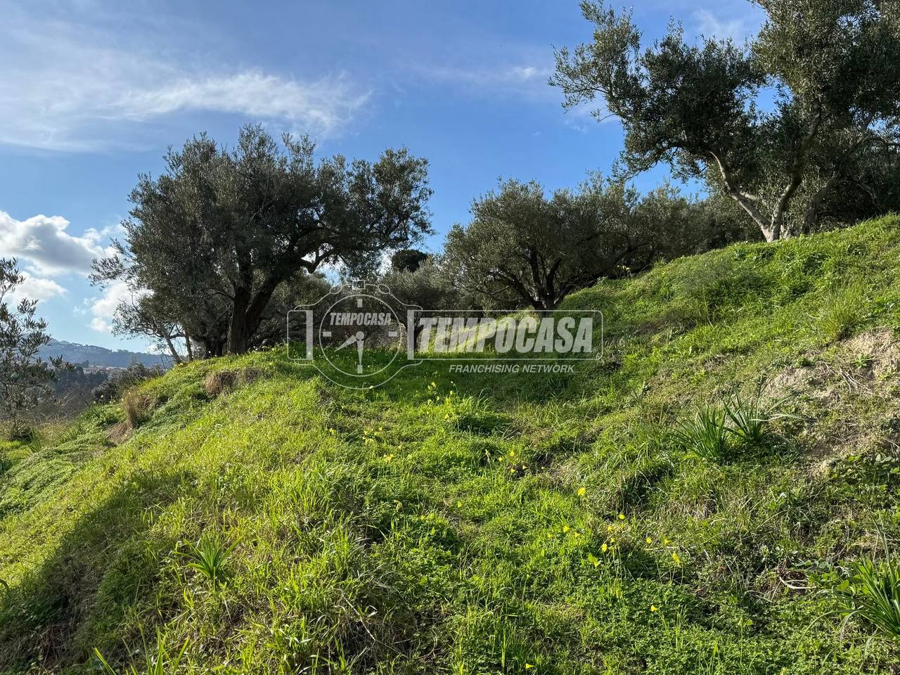 immagine annuncio 7 di 11