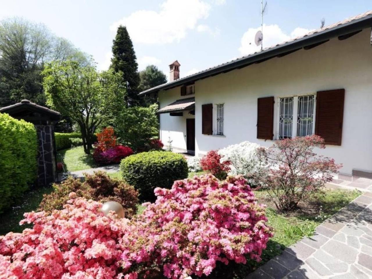 immagine annuncio 1 di 12