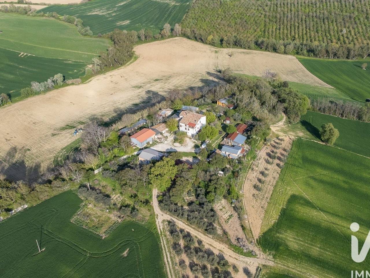 immagine annuncio 2 di 14