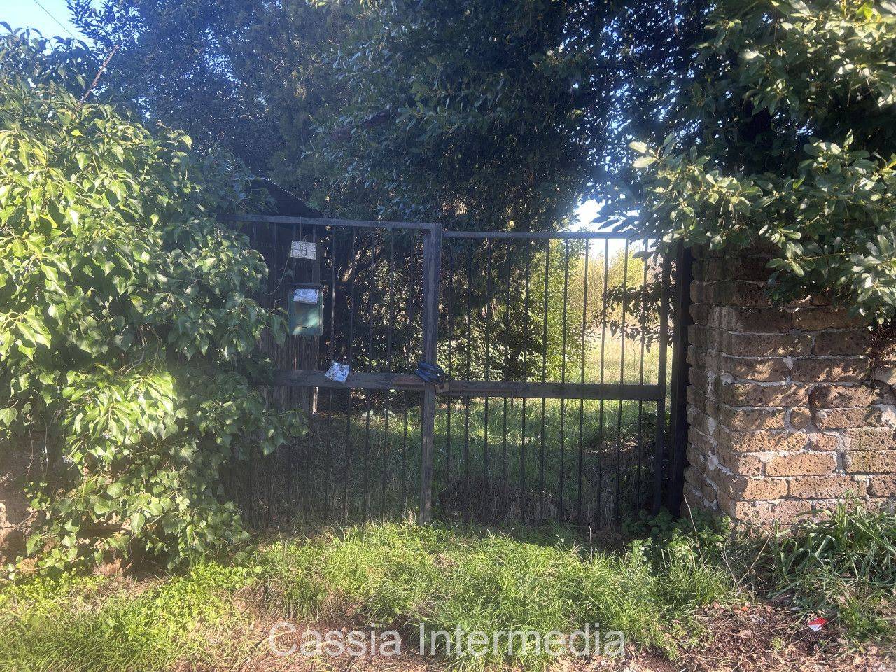 immagine annuncio 4 di 14