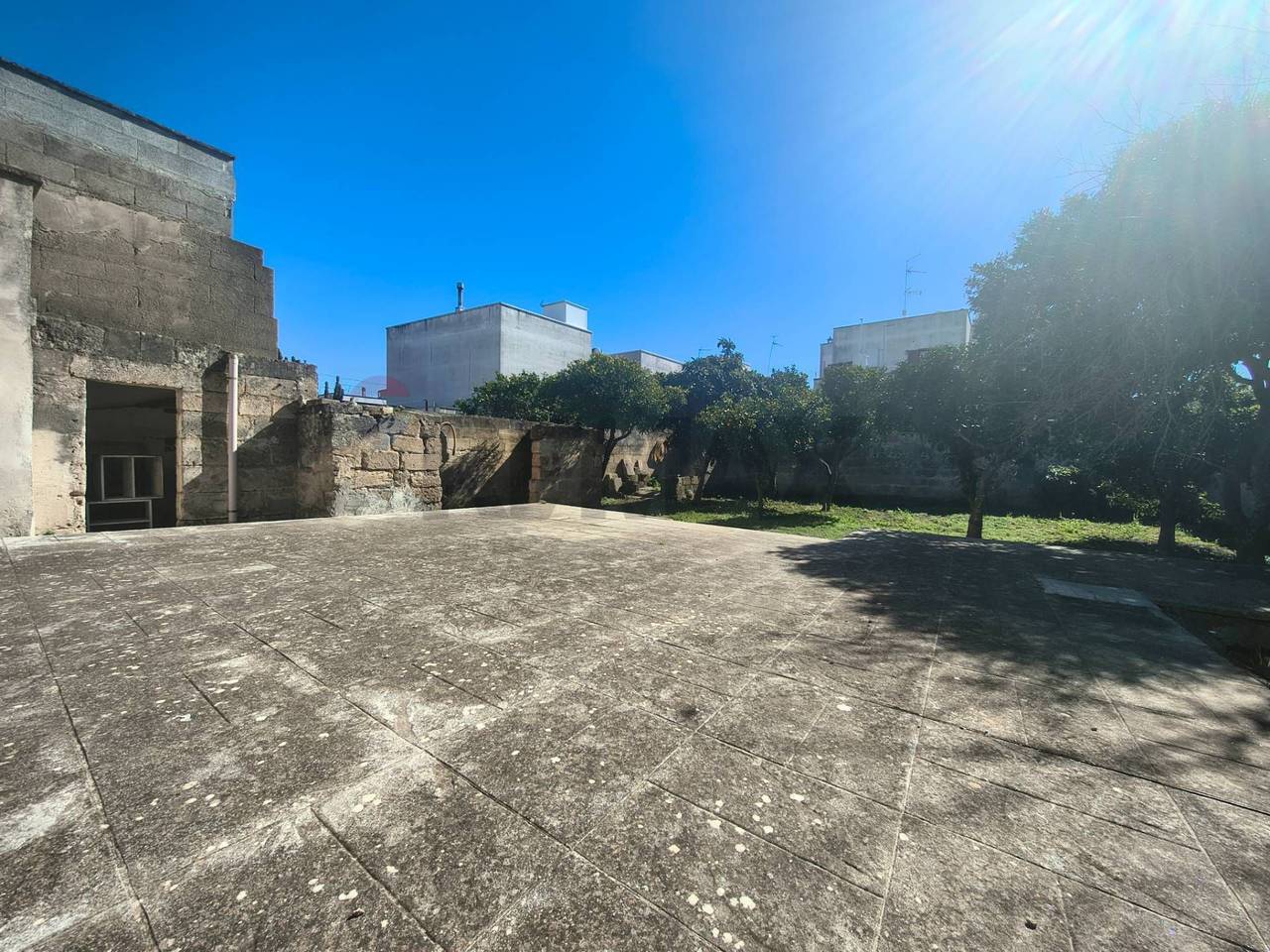 immagine annuncio 12 di 14