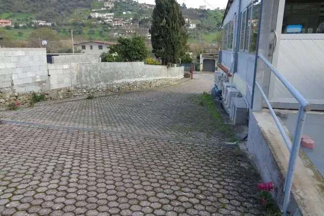 insertion image