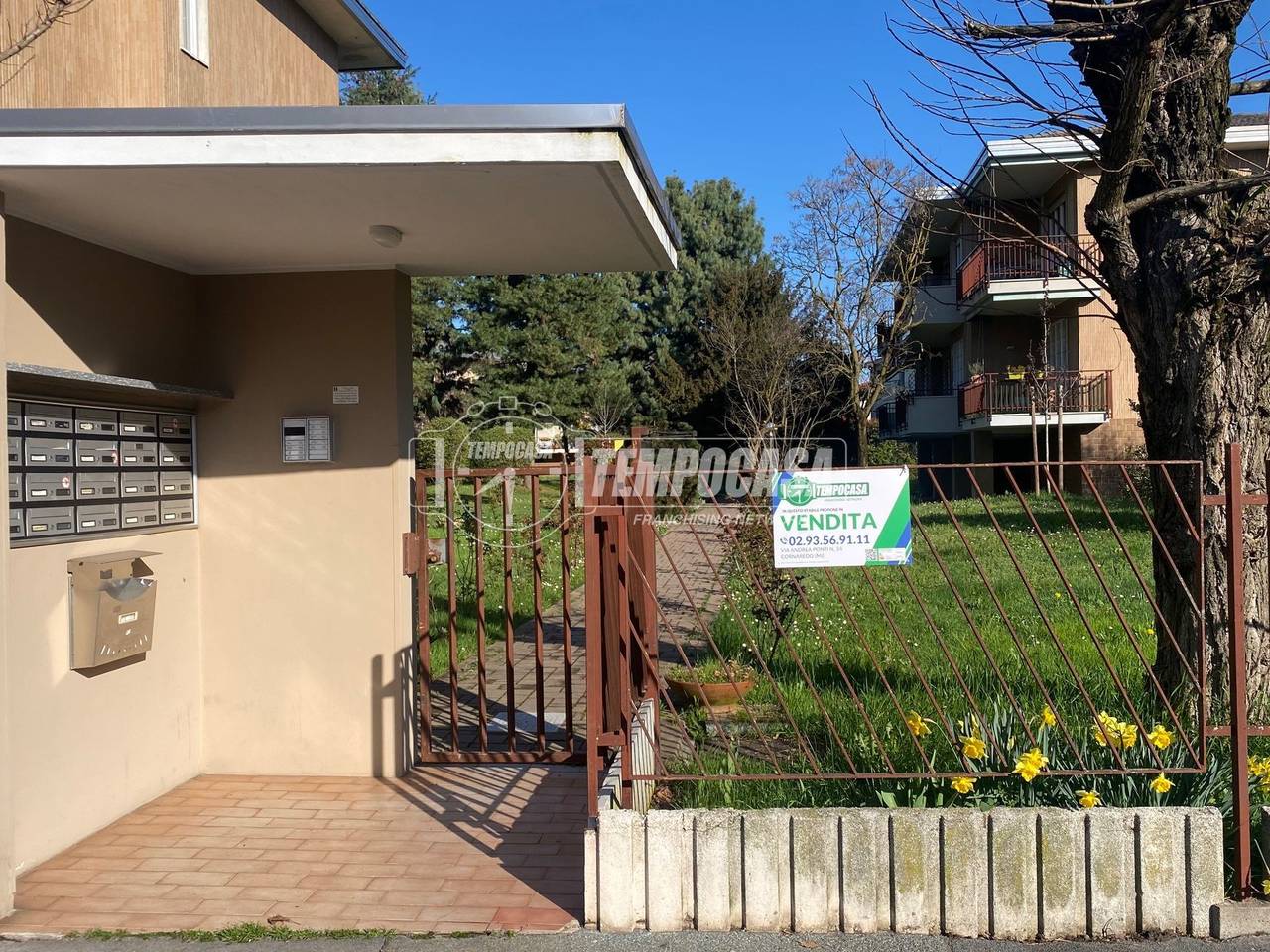 immagine annuncio 4 di 15