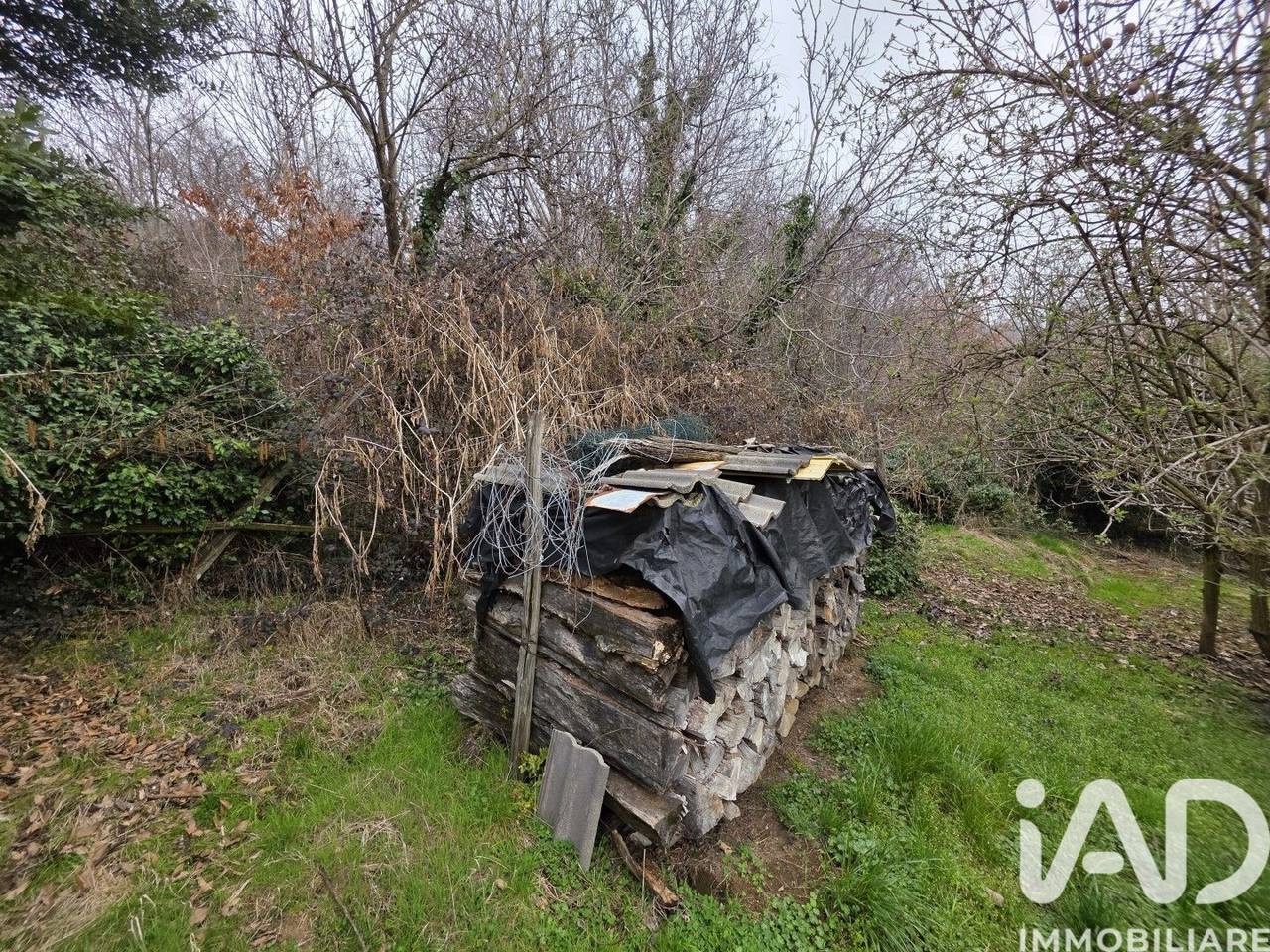 immagine annuncio 8 di 15