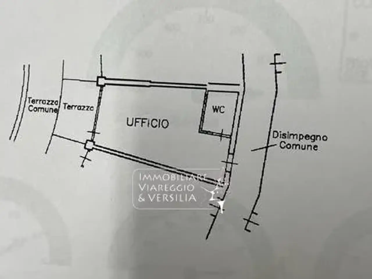 Ufficio in , Camaiore, {3} - Planimetria 1