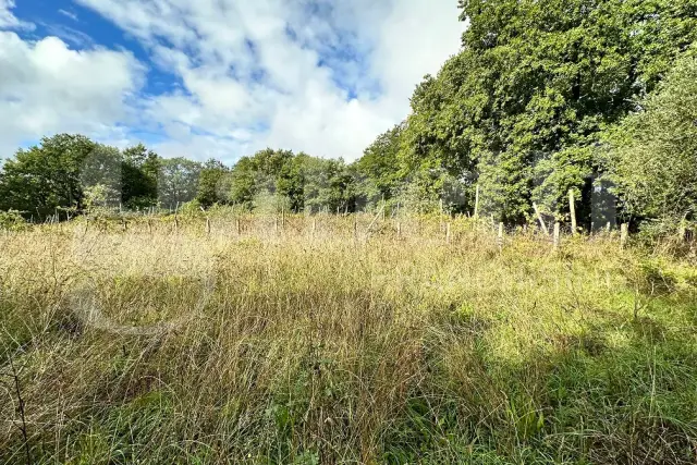 Terreno agricolo in Via Pezzo Tufo 00, Canale Monterano - Foto 1