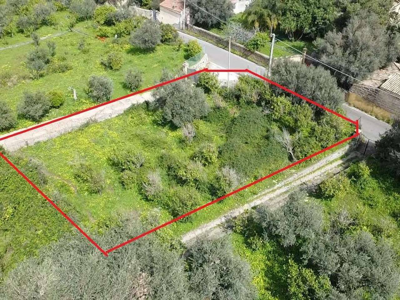 immagine annuncio 2 di 6