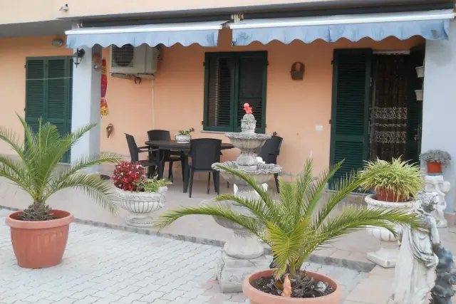 insertion image
