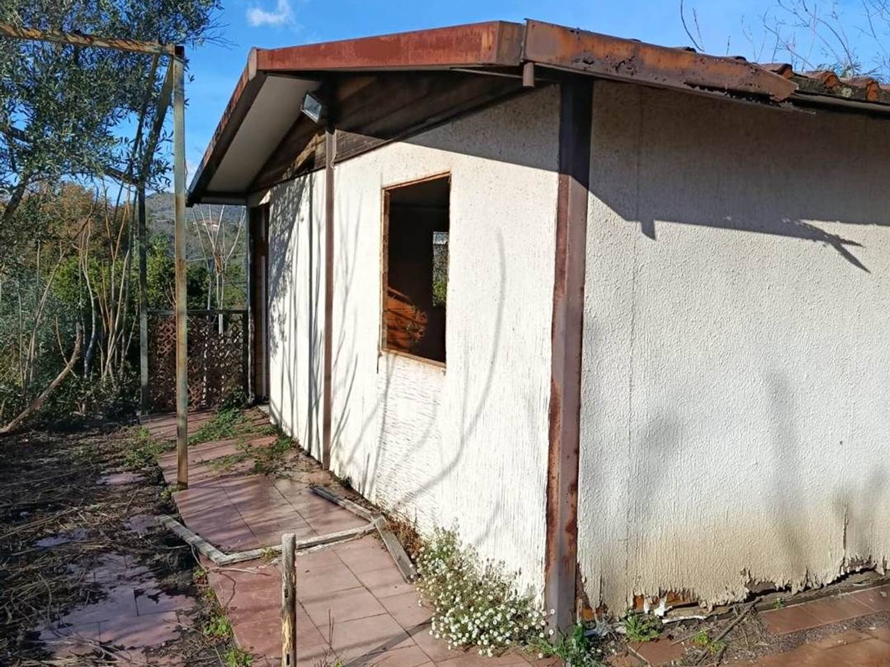 immagine annuncio 11 di 15