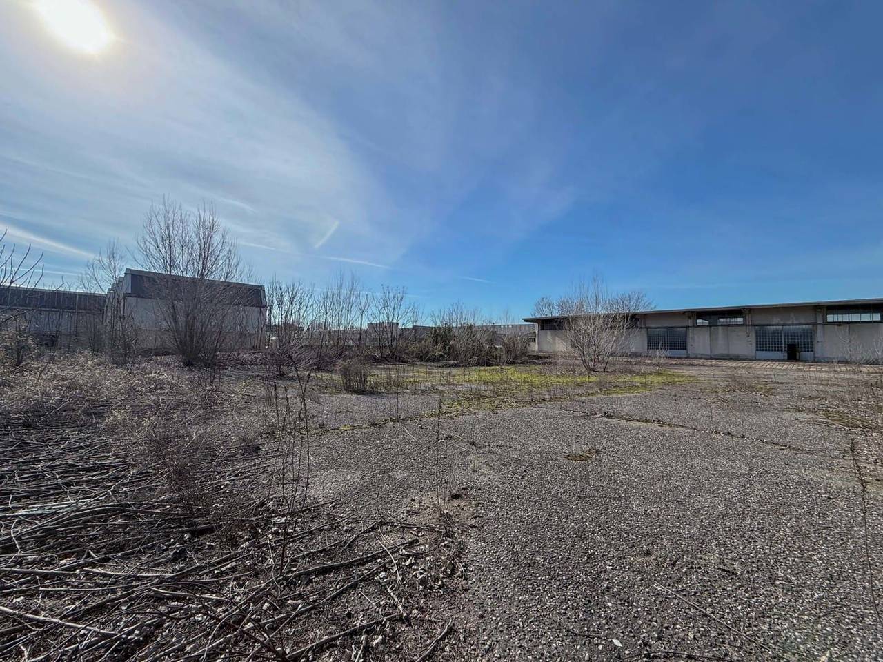 immagine annuncio 5 di 11