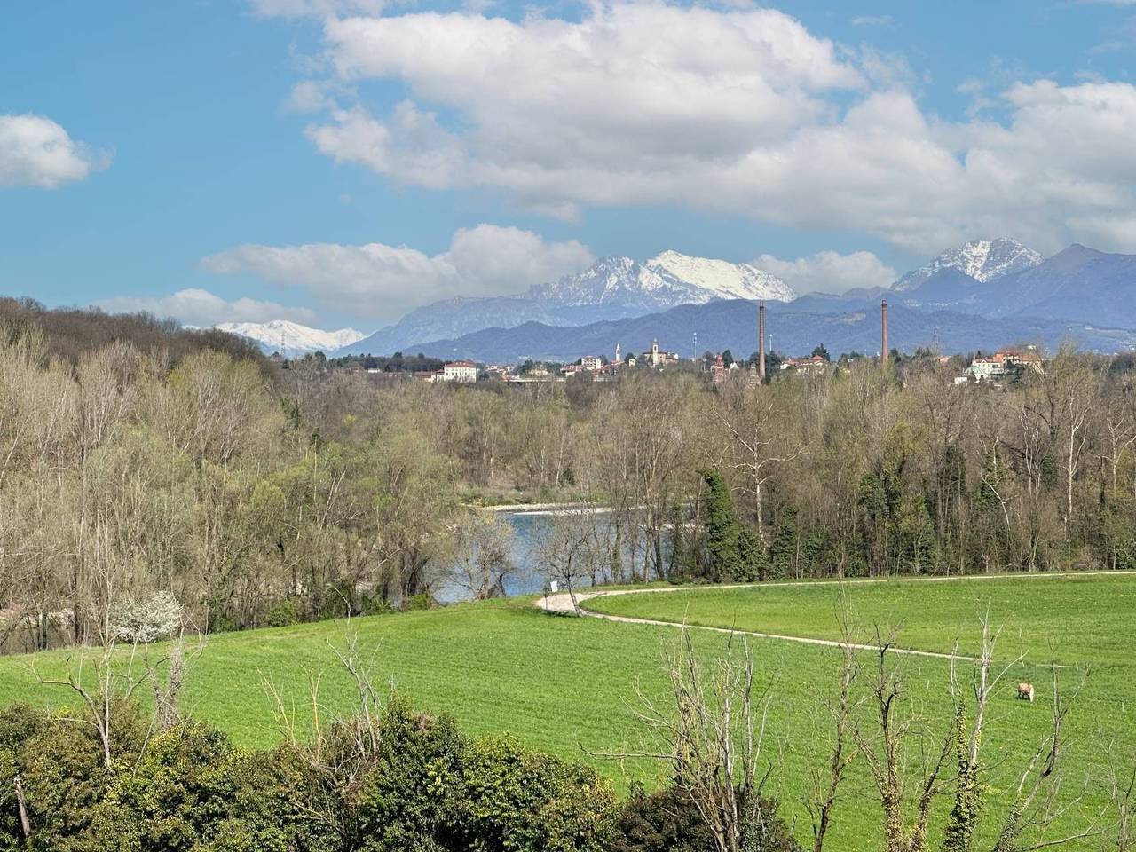 immagine annuncio 12 di 15