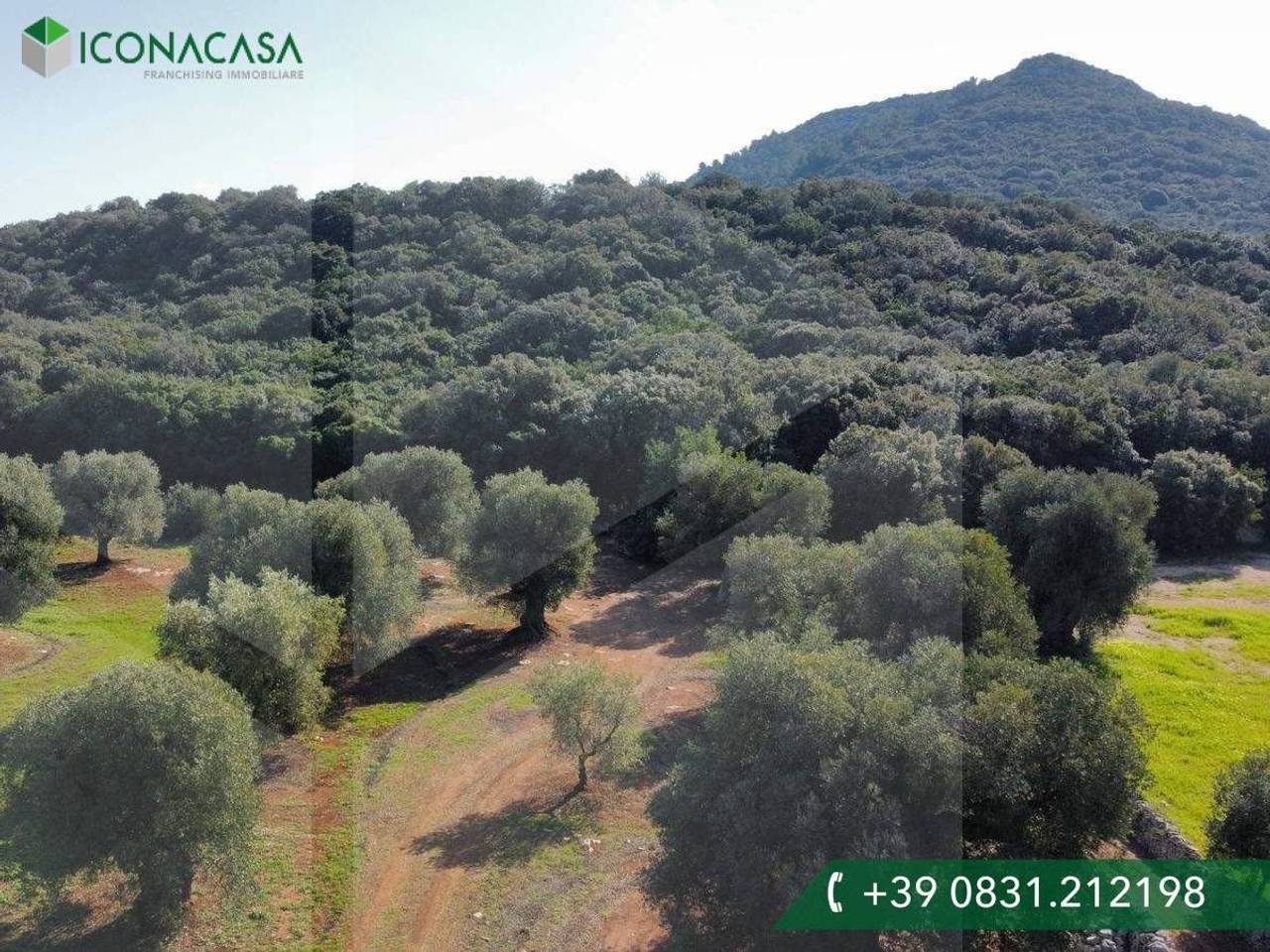 immagine annuncio 5 di 9