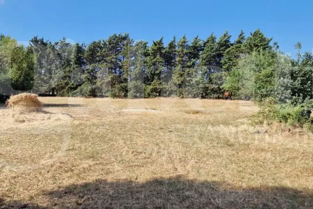 Terreno agricolo in Via Rocca Priora Snc, Nettuno - Foto 1