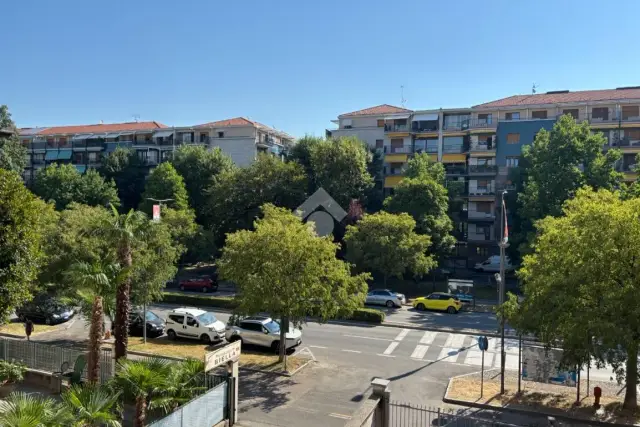 insertion image