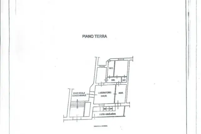 main planimetry real estate image