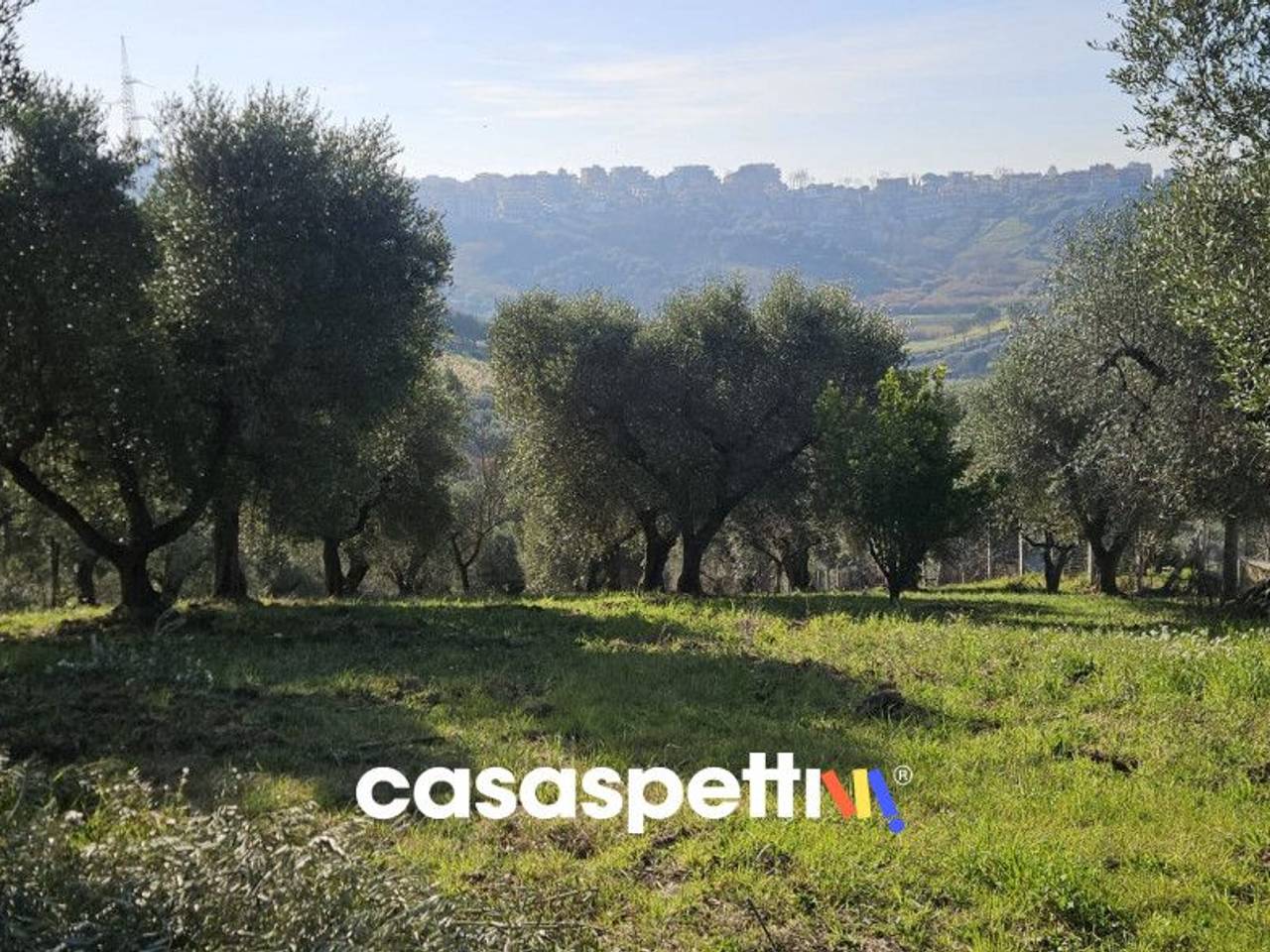 immagine annuncio 4 di 8