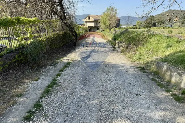 insertion image