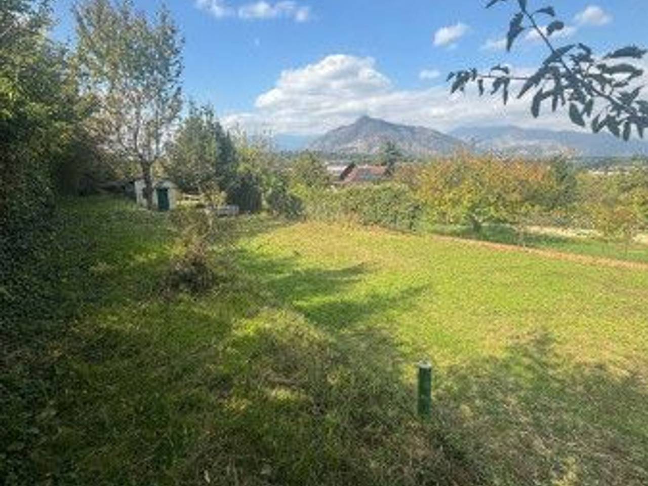 immagine annuncio 2 di 9